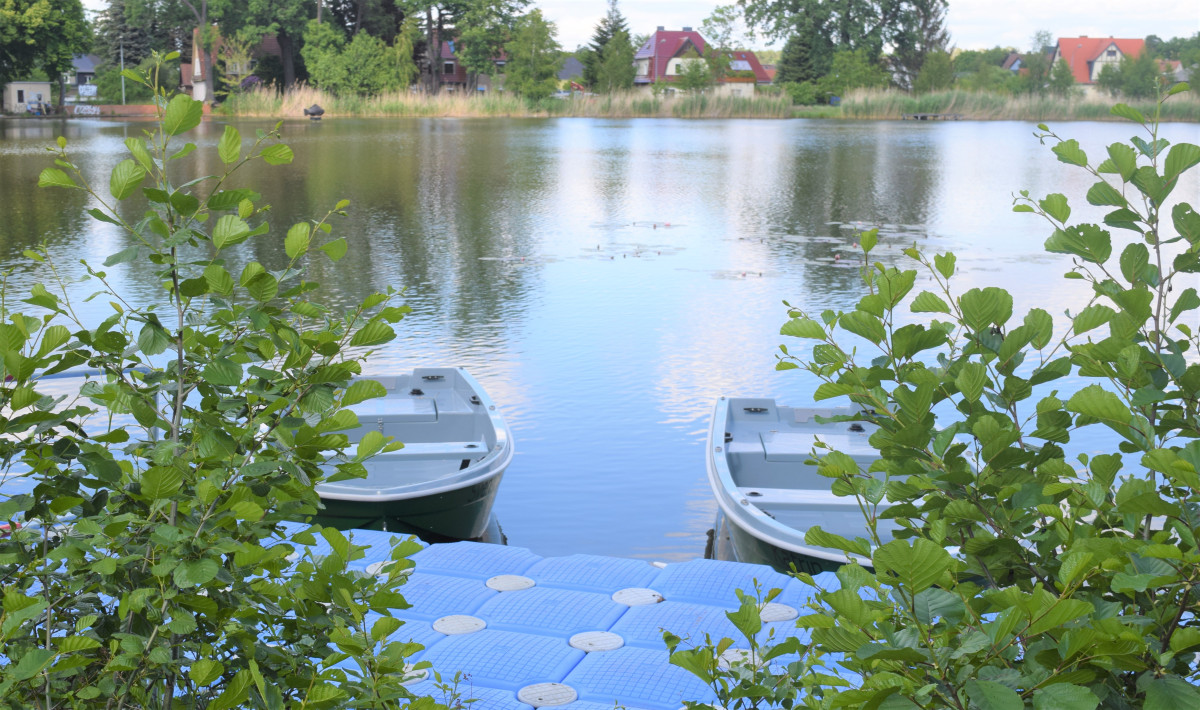 DSC_1124.JPG DSC_1124.JPG