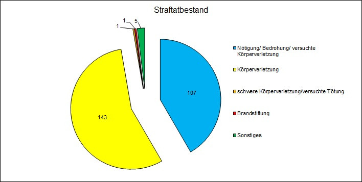 Straftatbestand .jpg