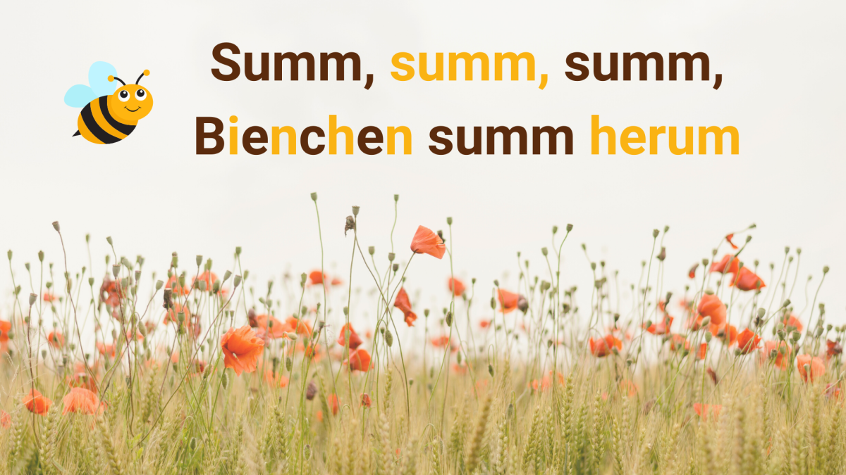 Summ, summ, summ.png Summ, summ, summ.png